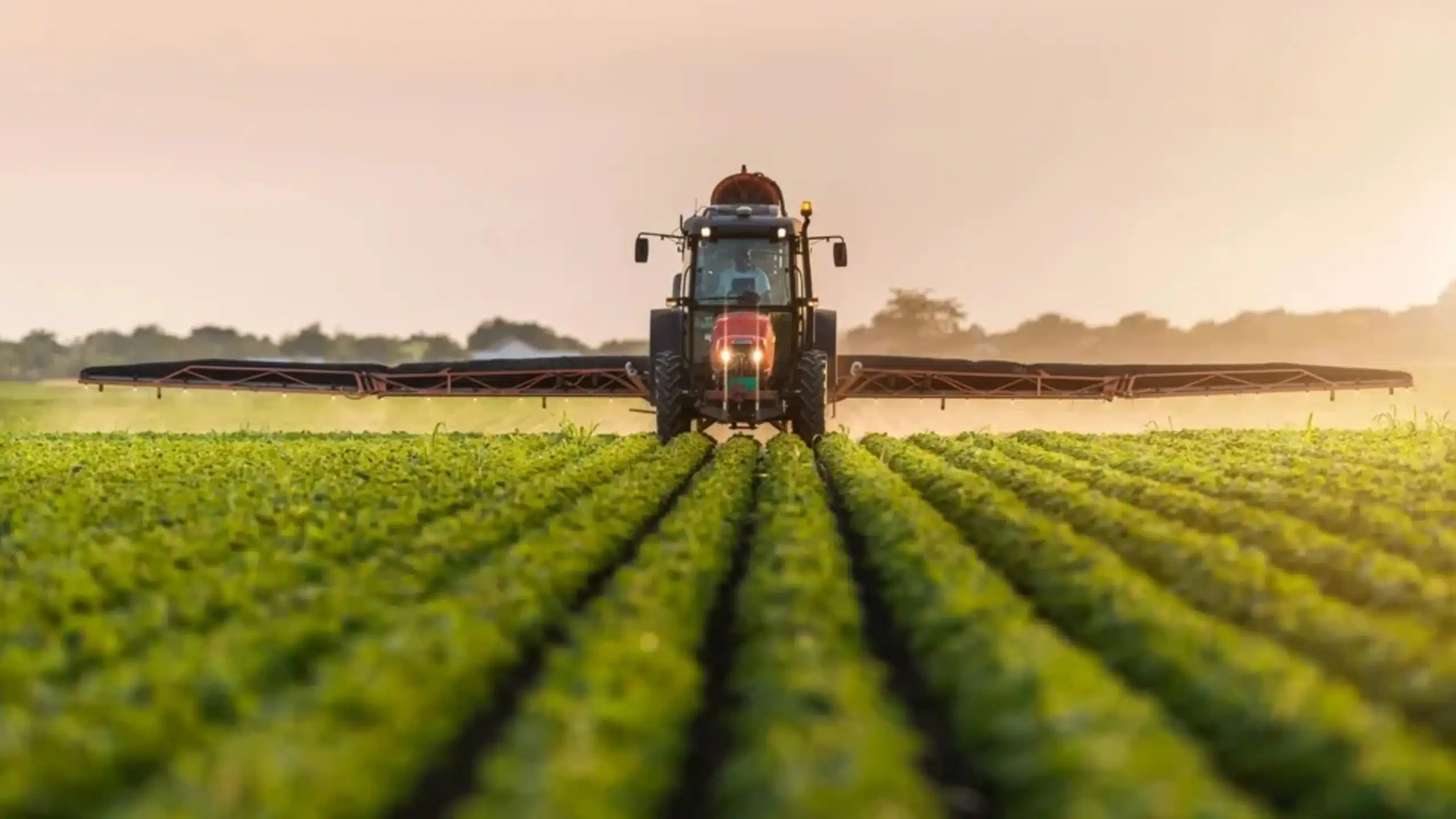 Foto Campanha SYNGENTA