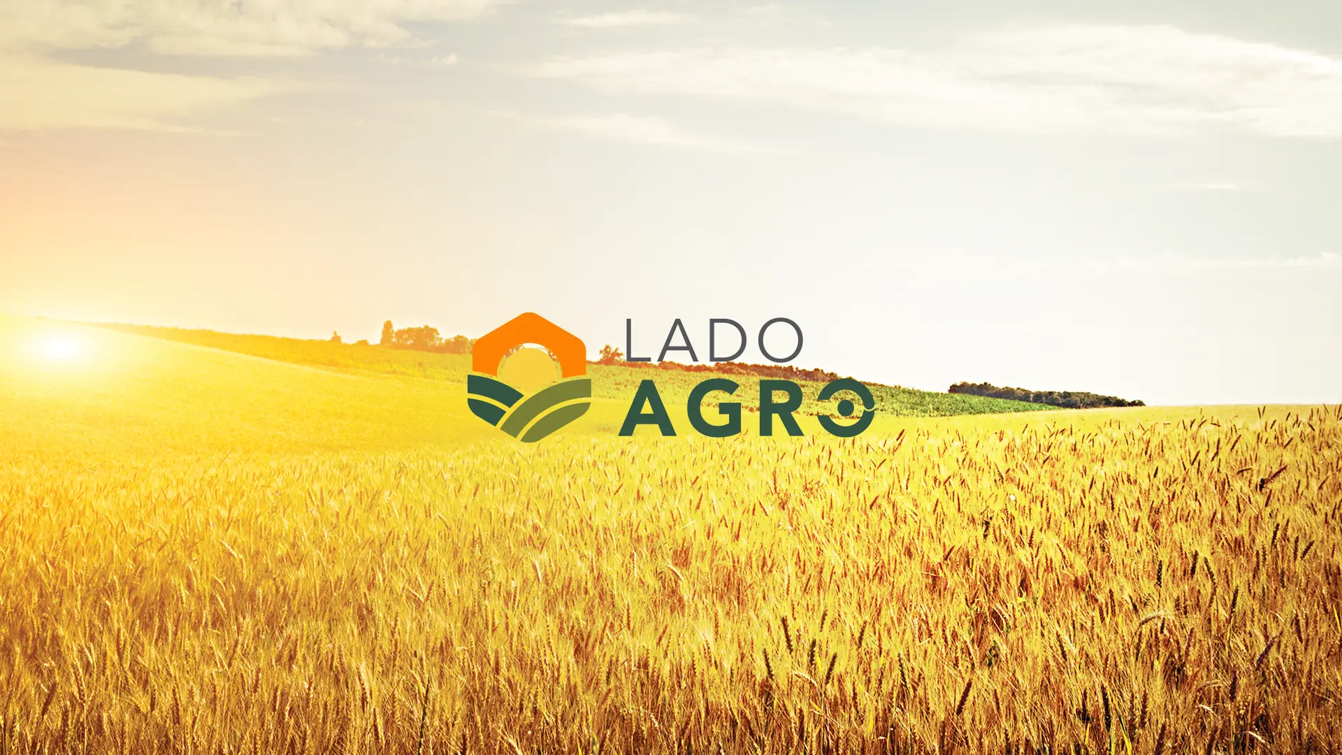 Brand Design Lado Agro