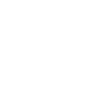 beecreative-logo-homeostase