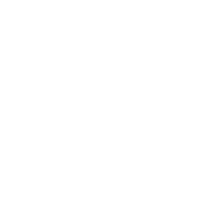 beecreative-logo-rayflex