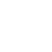 beecreative-logo-nautilus